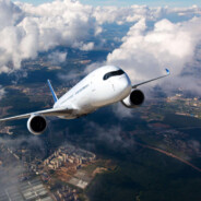 冷酷无情的牛马