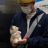 老实上班的男人