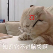 a sleeping Megalosauru