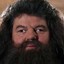 lukas_is_hagrid