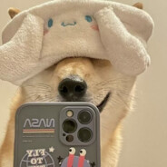 翻斗花园补枪手