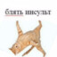 Cаня-Бхопчик