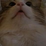 [EASY]GeneralCleanup