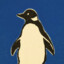 knottypenguin