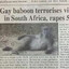 Babuino estuprador gay africano