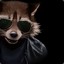 HoneyRaccoon