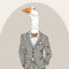 BusinessGoose