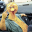 Big Bird