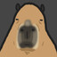 Capybara