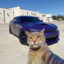 HellCat 223