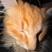 call of the void - steam id 76561198138894961