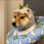 林田惠