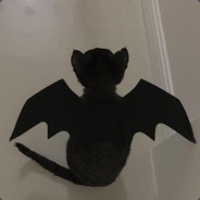 mountain there's none too steep