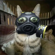 手语少女帮导算口吗