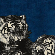 K - steam id 76561199863020204