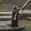 La Loutre Incorrigible