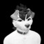 whitewolfie