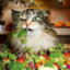 ChUnKySaLaD
