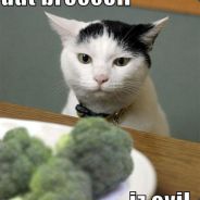 Broccoli