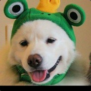 幸运女神在微笑