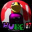 Hube_007