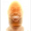 Diekote