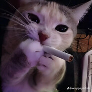 ArtemSlither timujin1912