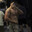 Nkjee