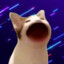 pop_cat