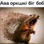 Привет