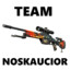 WWW.TEAMNOSKAUCIOR.NET