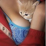 ÃÞø™ - steam id 76561197971062926