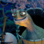 Oogway mester