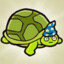 Turtleboy11