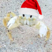 crab