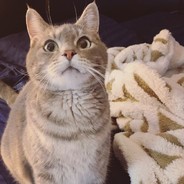 我不管就是不讲理