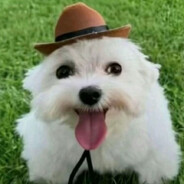 Colton - steam id 76561199023385261