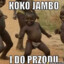 JAJAJAKOKOJAMBOJAJAJA