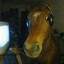 Agentscoobydoo