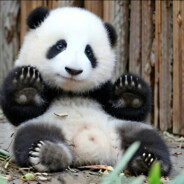 👣YANG👙YANG🐾