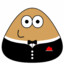 Mr Pou