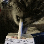 Meow >^•-•^<