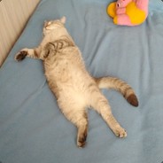 ДОЛБИ ДИДЖИТАЛ