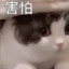 猪儿虫哦