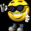 levizin02