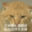 Avatar of 揸命运就要handgun挡斩舰刀