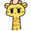 Mr.Giraffe
