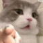 西瓜子