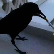 乌鸦