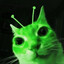 Meow Meow